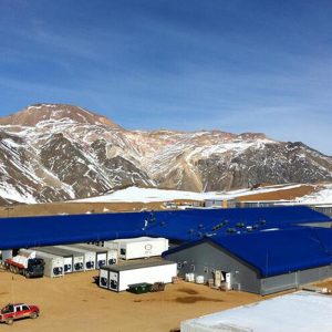 campamento amarillos