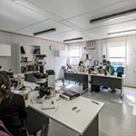 Hospitales industrializados: una respuesta ágil a necesidades urgentes