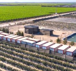 Agrovisión: Proyecto Olmos